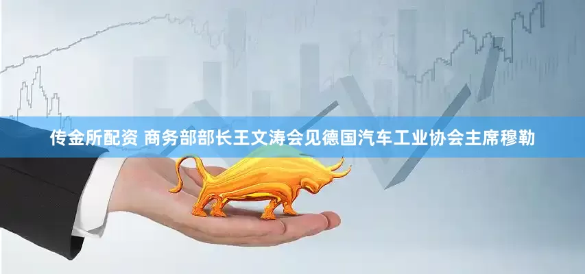 传金所配资 商务部部长王文涛会见德国汽车工业协会主席穆勒