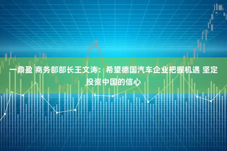 一鼎盈 商务部部长王文涛：希望德国汽车企业把握机遇 坚定投资中国的信心