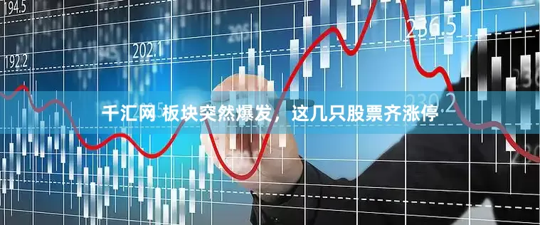 千汇网 板块突然爆发，这几只股票齐涨停
