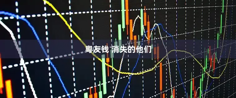 粤友钱 消失的他们