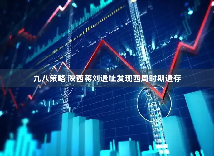 九八策略 陕西蒋刘遗址发现西周时期遗存